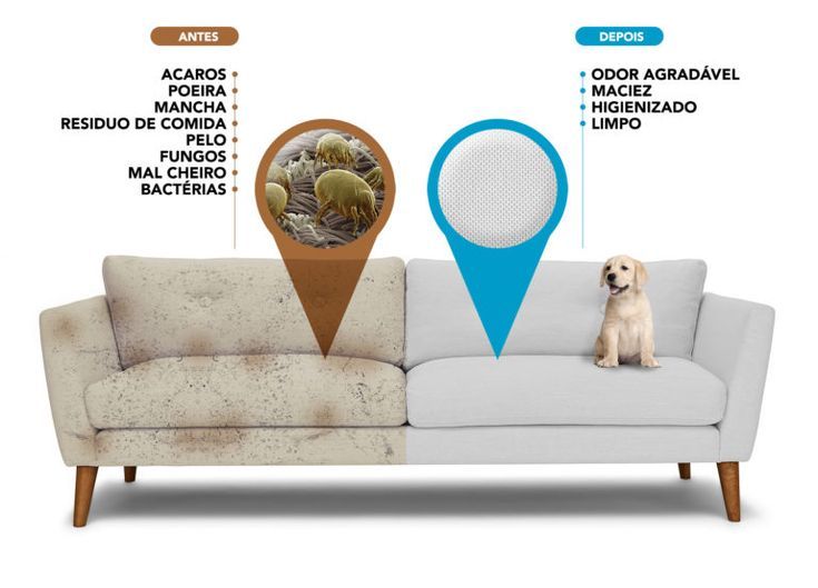 vệ sinh ghế sofa