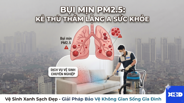 hình ảnh mô tả về bụi là gì và các tác hại của bụi mịn cùng cách phòng ngừa hiệu quả cho gia đình được Vệ Sinh Xanh Sạch Đẹp - vesinhxanhsachdep.com biên soạn tổng hợp